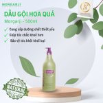 Dầu gội hoa quả Morgarji 800ml