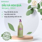 Dầu xả hoa quả Morgarji 800ml